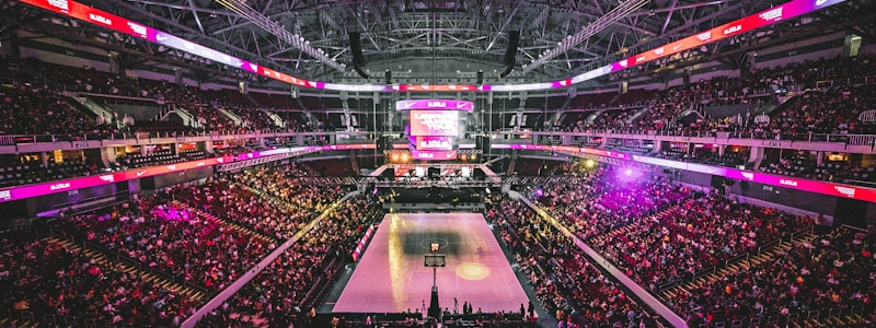 篮球比赛现场观众热烈欢呼的壮观场面